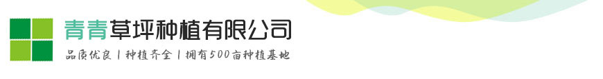 尊龙最新网址